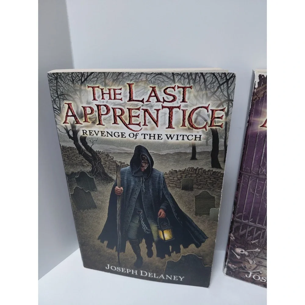 N/A fantasy book